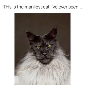 Meet your Posher, Eva